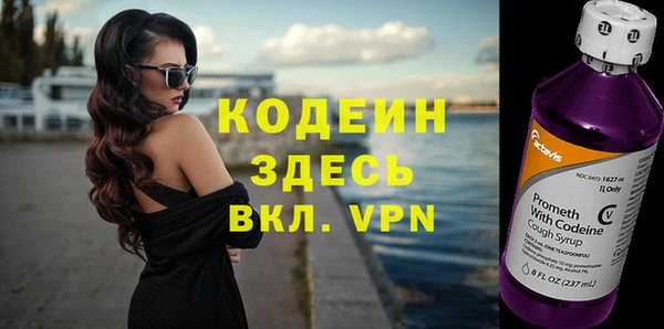 молекула духа Арсеньев