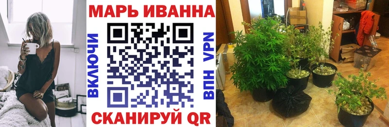 Купить  Бакал  Бошки Шишки план 